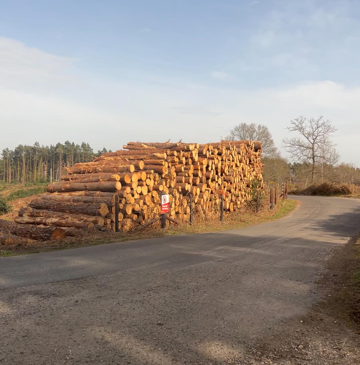 Timber Yard Safety Certification