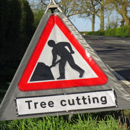 Working Near Roads: Tree Surgery Safety Certification